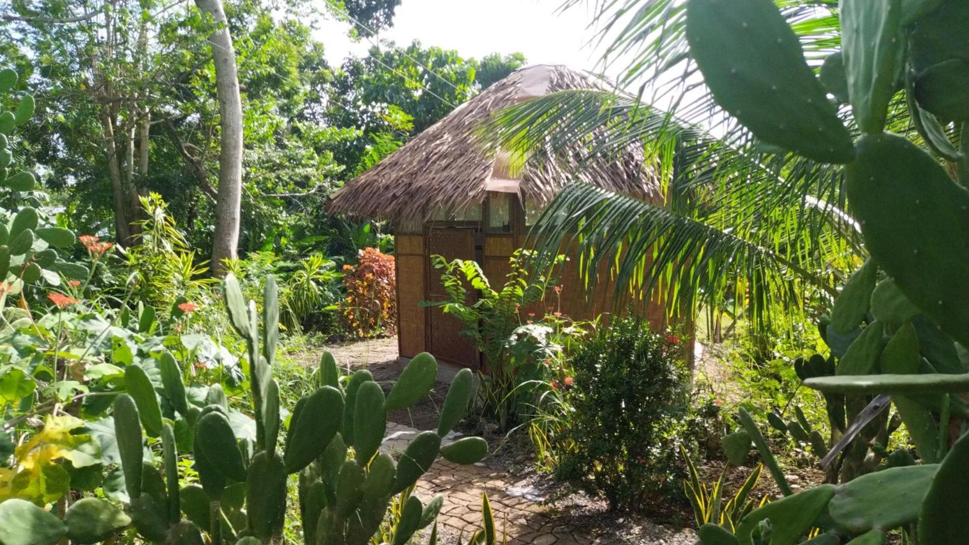 Little Nomads Eco-Guesthouse Siquijor Habitación foto